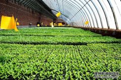 智能化農(nóng)業(yè)環(huán)境監(jiān)測儀的工作原理