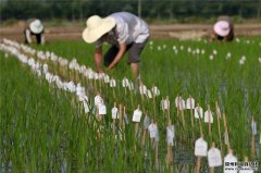 農(nóng)業(yè)氣象記錄儀監(jiān)測系統(tǒng)