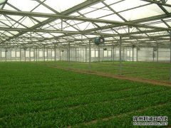 智能農(nóng)業(yè)環(huán)境監(jiān)測儀的工作原理